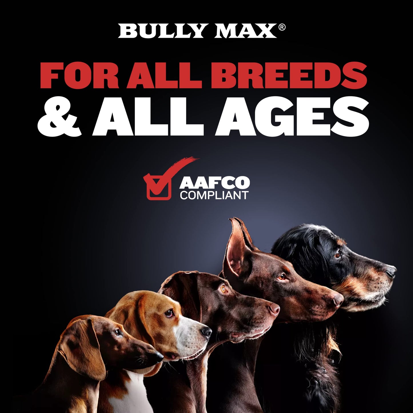 Bully Max 2-in-1 Muscle Builder Chewable Tablets for Puppies & Adult Dogs - Dog Vitamins & Supplements for Muscle Gain & Growth - Canine Puppy Multivitamins for All Breeds & Ages - 60 Tabs (3 Bottles)